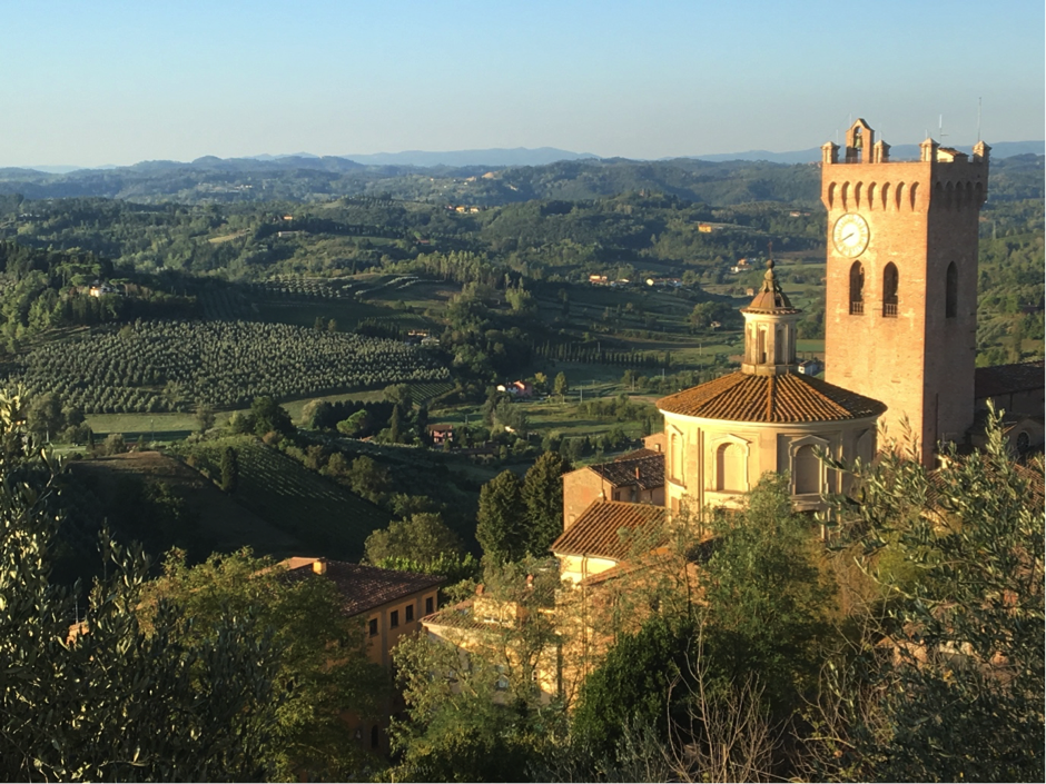 A Walk in Tuscany - Walk Local